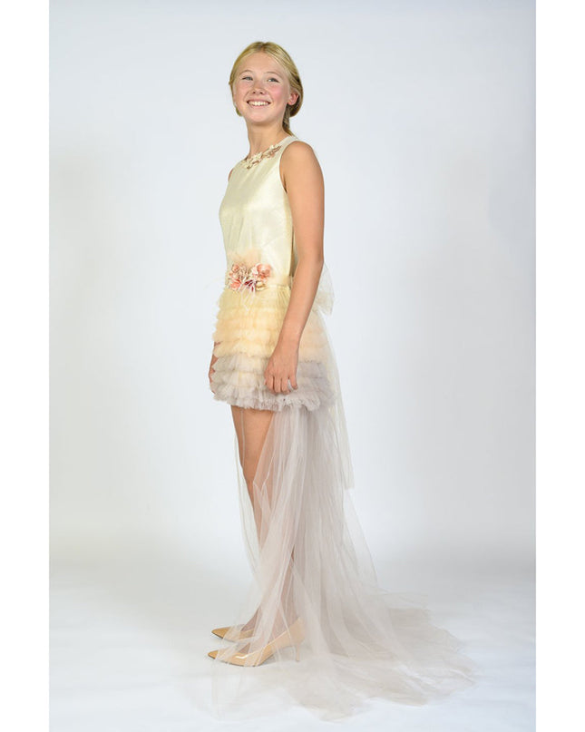 Champagne Euclid Dress