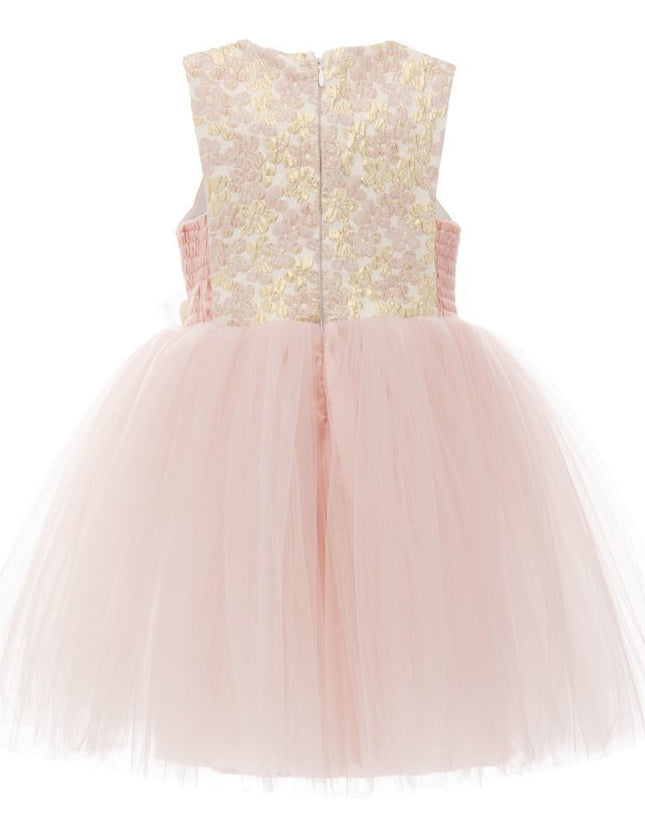 kids-atelier-tulleen-baby-girl-pink-aldercroft-tulle-dress-2375