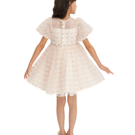 Ivory Pink Accented Tulle Fontana Dress