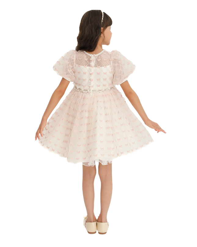 Ivory Pink Accented Tulle Fontana Dress