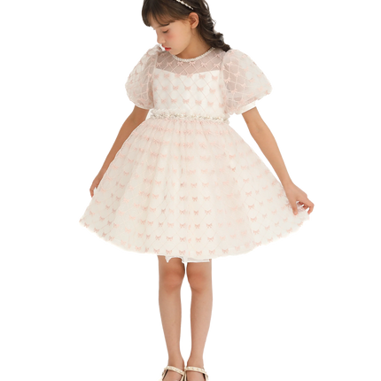 Ivory Pink Accented Tulle Fontana Dress