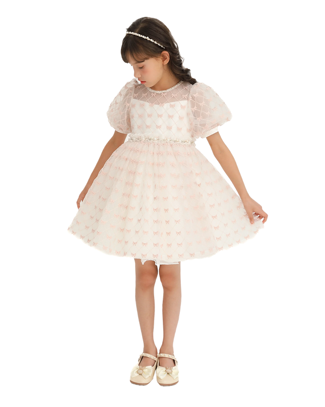 Ivory Pink Accented Tulle Fontana Dress