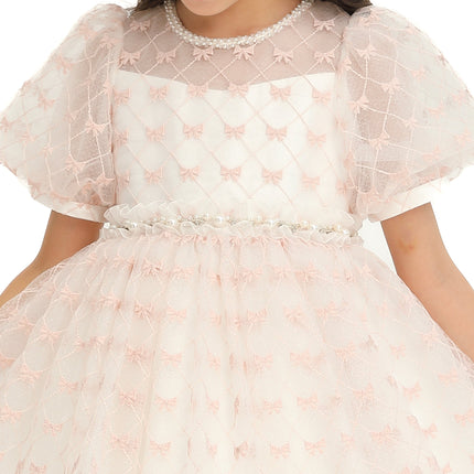 Ivory Pink Accented Tulle Fontana Dress