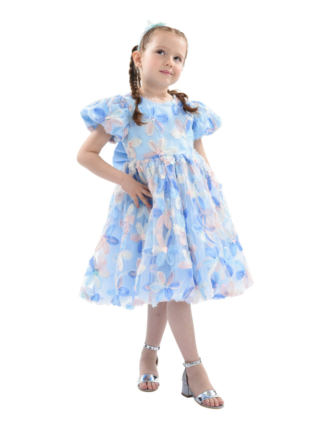 Blue Daisy Party Dress