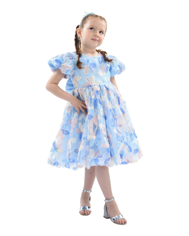 Blue Daisy Party Dress