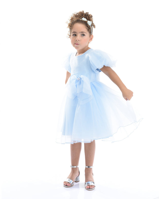 Blue Bow Organza Dress