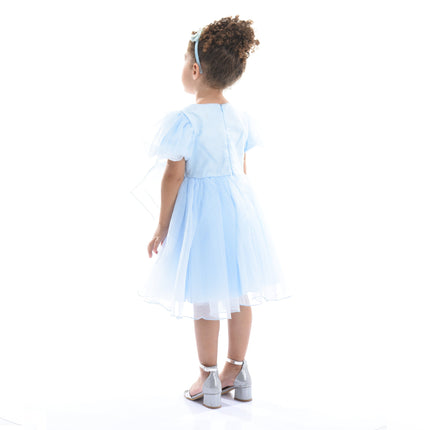 Blue Bow Organza Dress