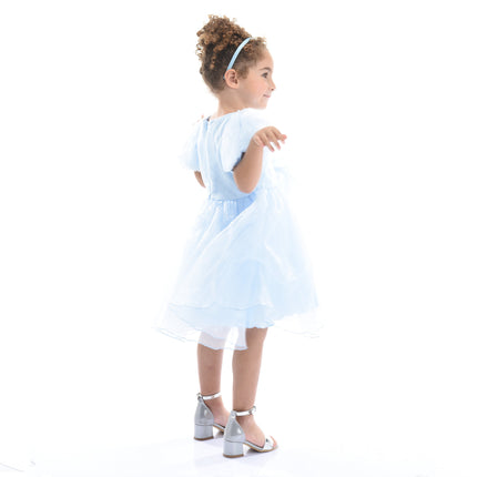 Blue Bow Organza Dress