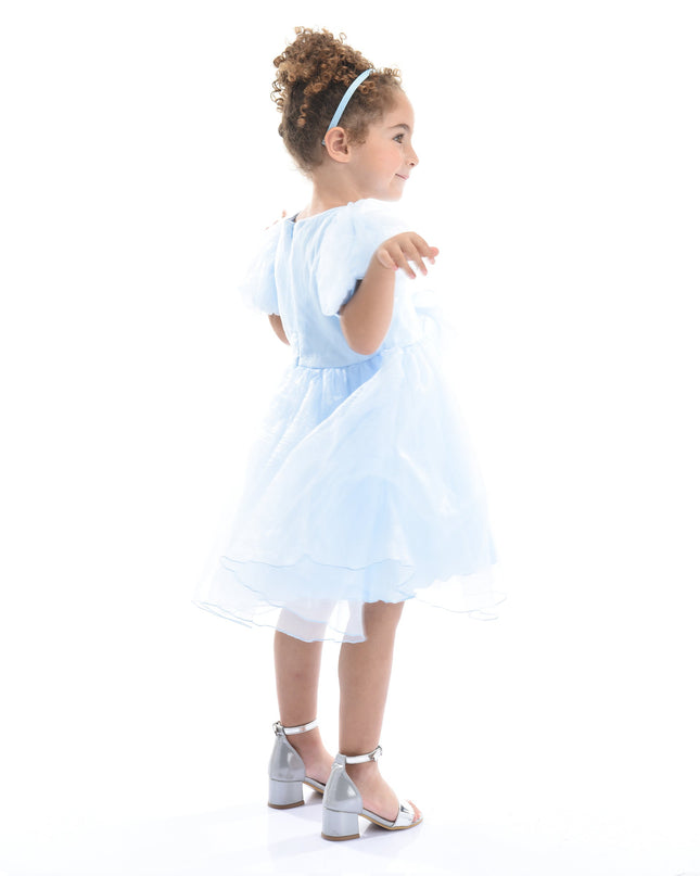 Blue Bow Organza Dress