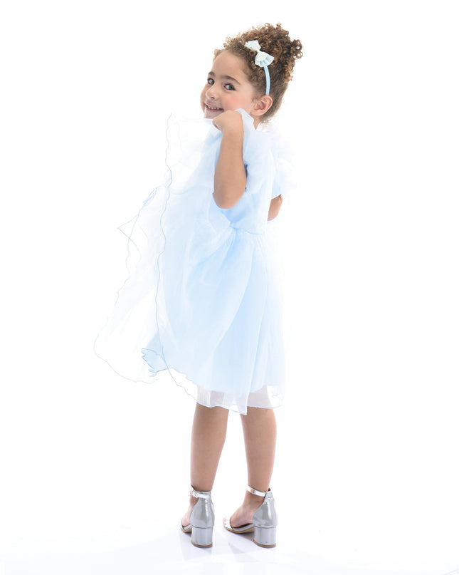 Blue Bow Organza Dress