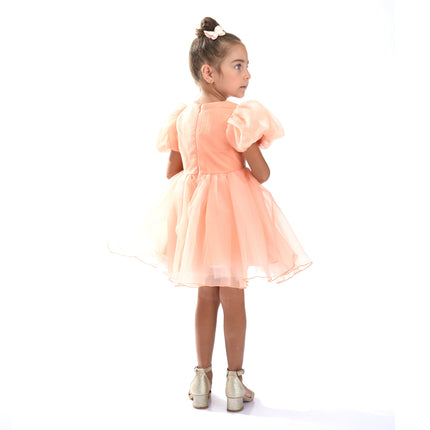 Peach Bow Organza Dress