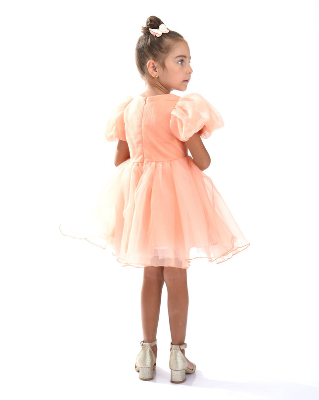 Peach Bow Organza Dress