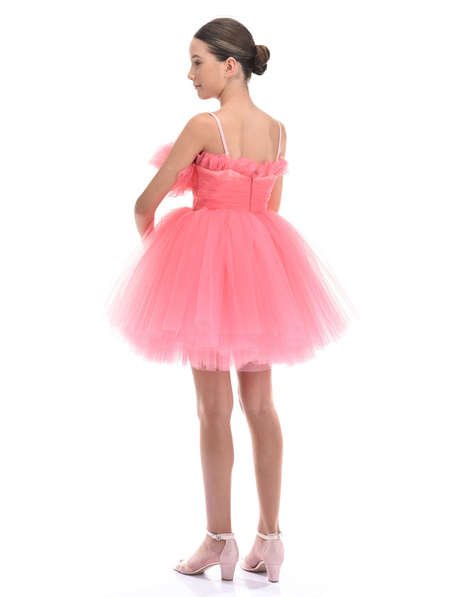 Pink Ruffle Scalleta Dress