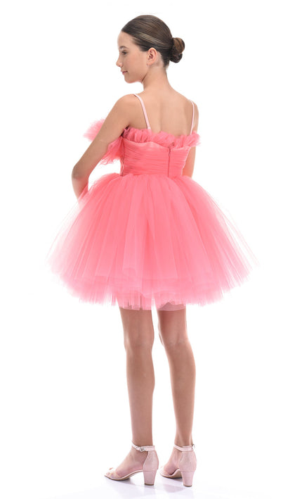 Pink Ruffle Scalleta Dress