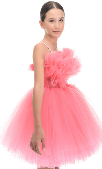 Pink Ruffle Scalleta Dress