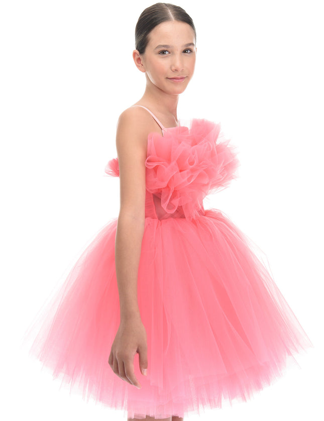 Pink Ruffle Scalleta Dress