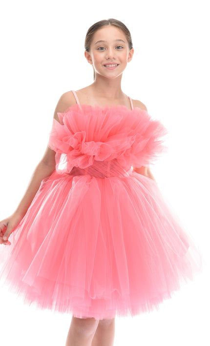 Pink Ruffle Scalleta Dress