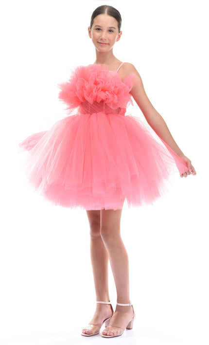 Pink Ruffle Scalleta Dress