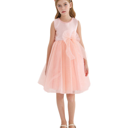 Blush Felice Tulle Bow Dress