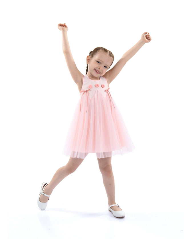 Peach Blush Rose Ribbon Dress