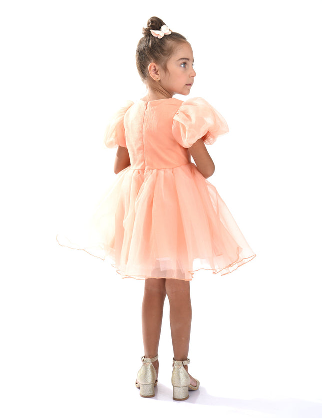 Peach Bow Organza Dress