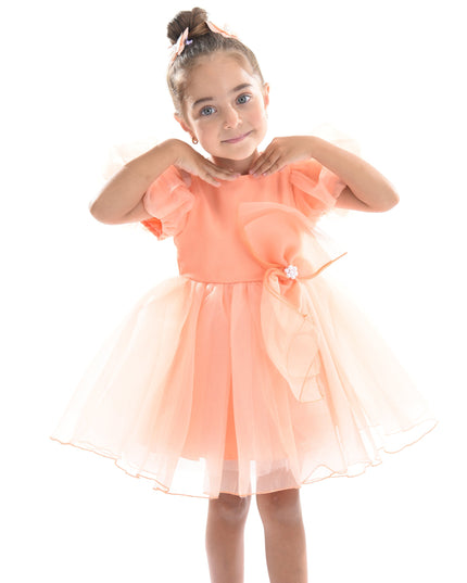 Peach Bow Organza Dress