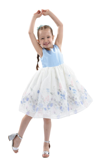 Blue Mabel Floral Garden Organza Dress
