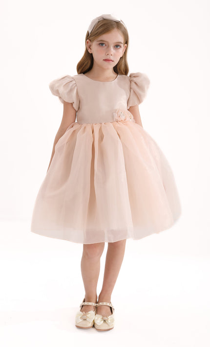 Champagne D'Amico Floral Teacup Dress