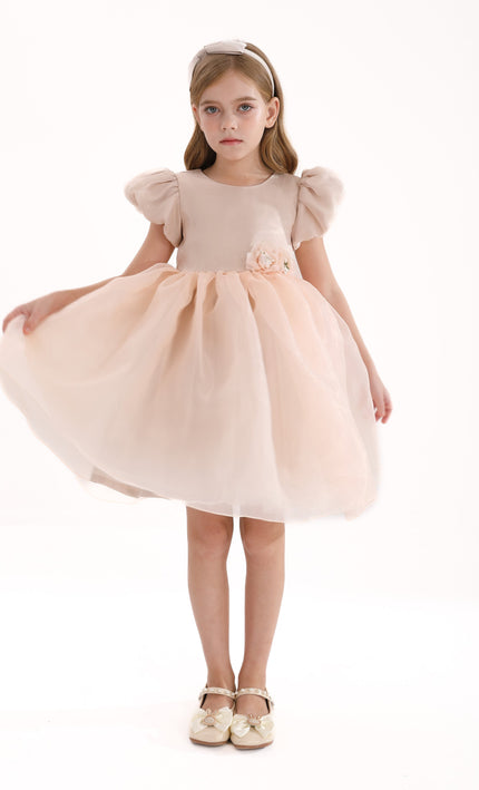 Champagne D'Amico Floral Teacup Dress