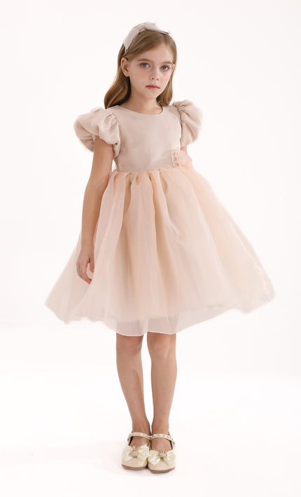 Champagne D'Amico Floral Teacup Dress