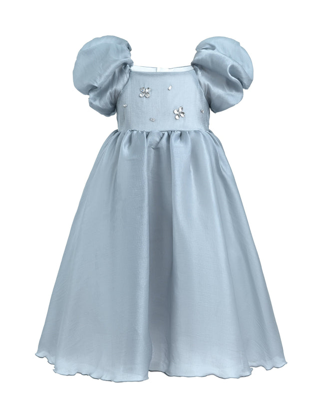 kids-atelier-tulleen-kid-girl-grey-janelle-applique-teacup-gown-tt6689-gray