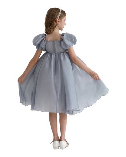 Gray Janelle Applique Teacup Gown