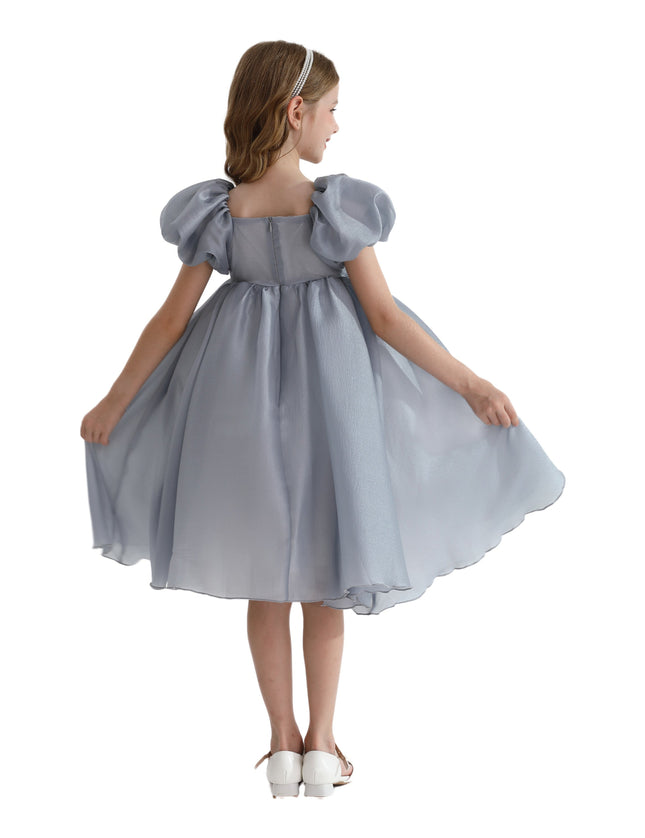 Gray Janelle Applique Teacup Gown