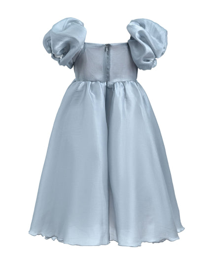kids-atelier-tulleen-kid-girl-grey-janelle-applique-teacup-gown-tt6689-gray