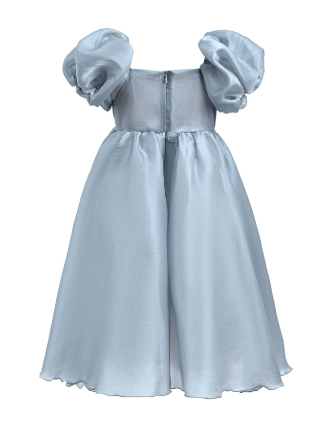 kids-atelier-tulleen-kid-girl-grey-janelle-applique-teacup-gown-tt6689-gray