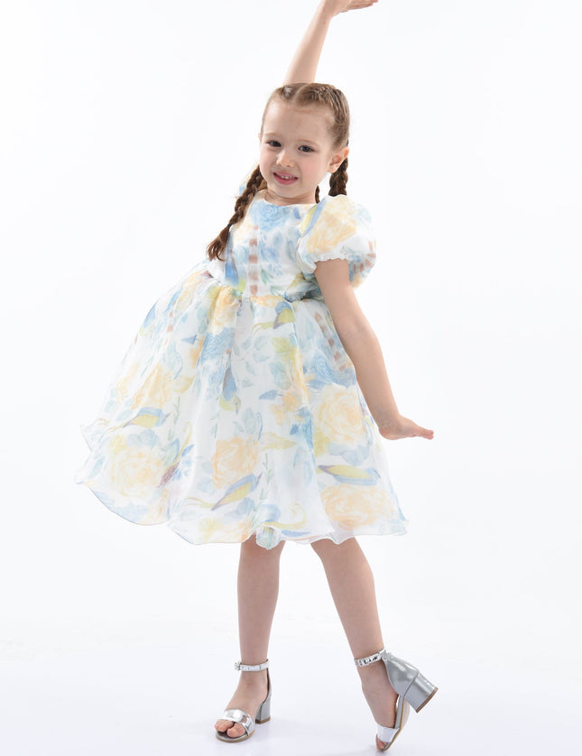 kids-atelier-tulleen-kid-girl-blue-chablis-floral-garden-organza-dress-tt919-blue
