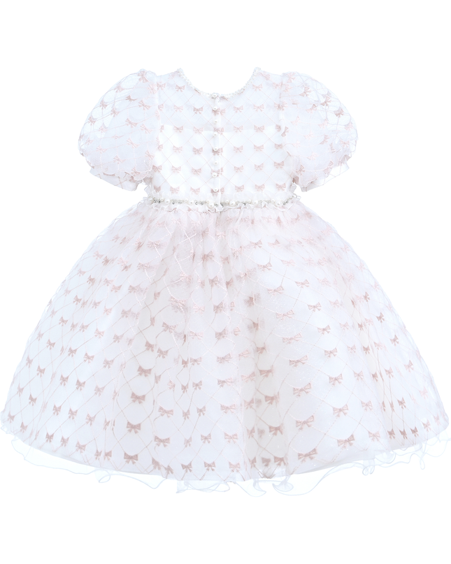 Ivory Pink Accented Tulle Fontana Dress