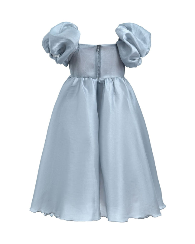 Kidsatelier-tulleen-TT6689-Gray-janelle-applique-teacup-gown