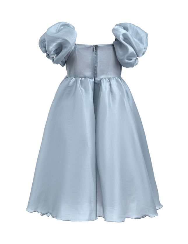 Kidsatelier-tulleen-TT6689-Gray-janelle-applique-teacup-gown