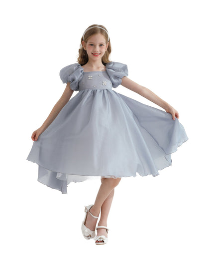 Kidsatelier-tulleen-TT6689-Gray-janelle-applique-teacup-gown