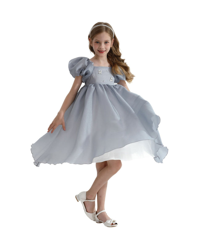 Kidsatelier-tulleen-TT6689-Gray-janelle-applique-teacup-gown