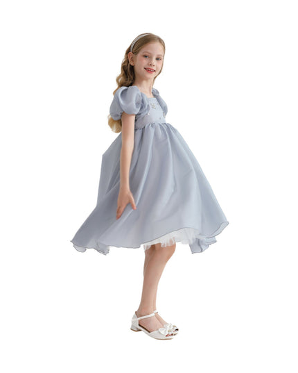 Kidsatelier-tulleen-TT6689-Gray-janelle-applique-teacup-gown