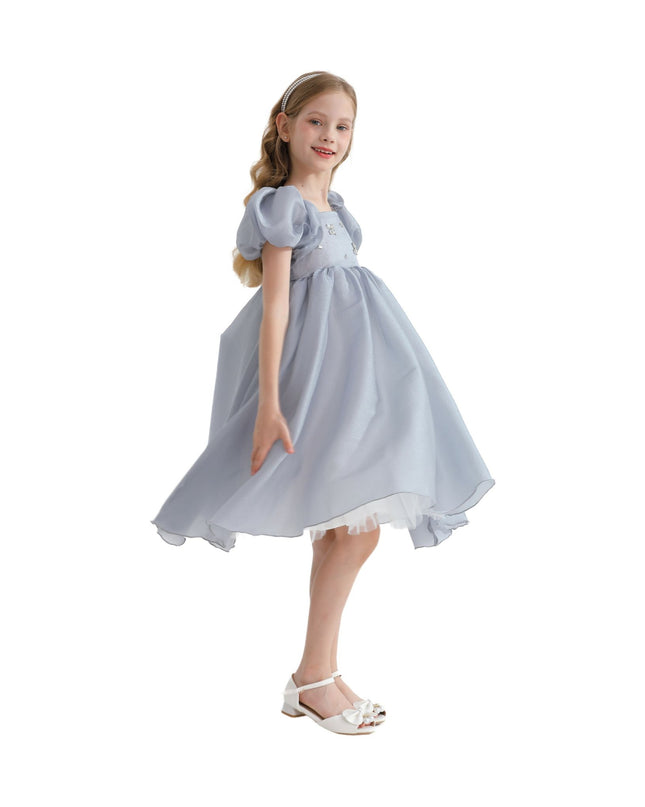 Kidsatelier-tulleen-TT6689-Gray-janelle-applique-teacup-gown