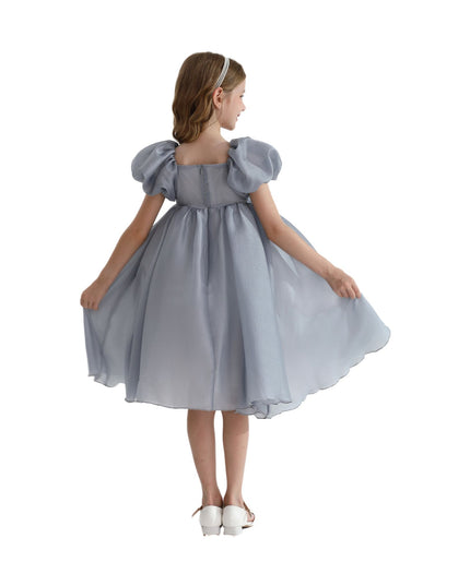Kidsatelier-tulleen-TT6689-Gray-janelle-applique-teacup-gown