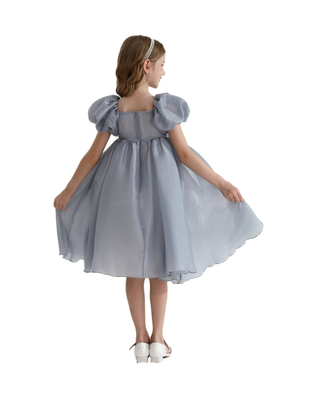 Kidsatelier-tulleen-TT6689-Gray-janelle-applique-teacup-gown