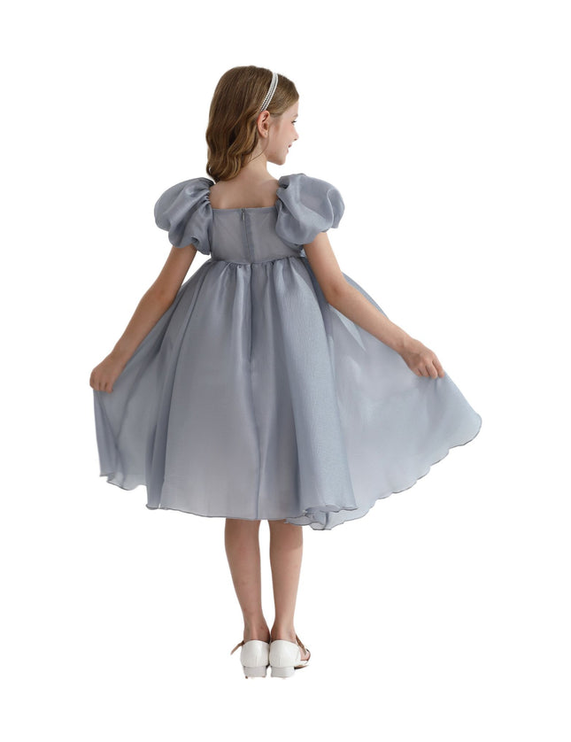 Kidsatelier-tulleen-TT6689-Gray-janelle-applique-teacup-gown