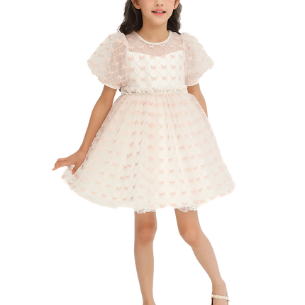 Ivory Pink Accented Tulle Fontana Dress