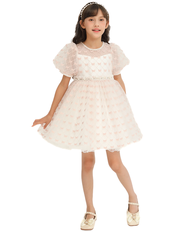 Ivory Pink Accented Tulle Fontana Dress