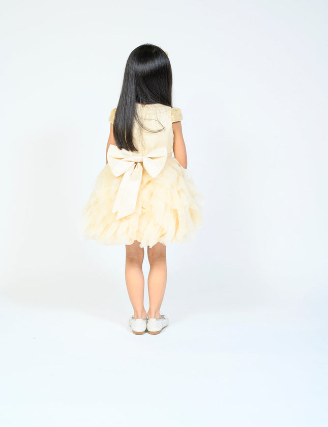 tulleen-30169-gold-dress