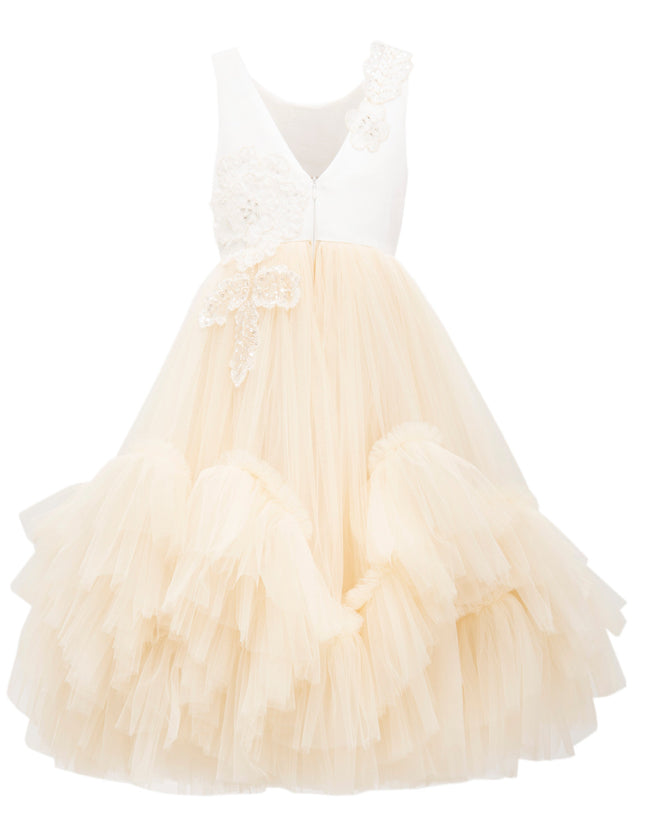 Gold Amber Tulle Dress